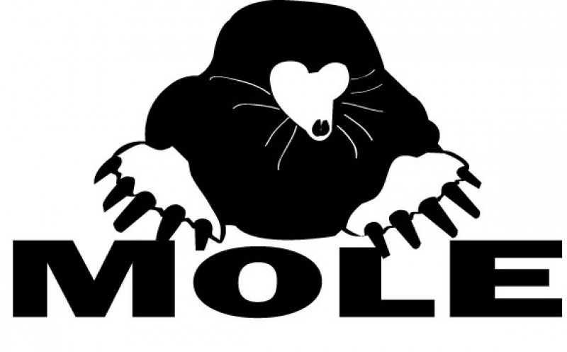 Mole ATV Project